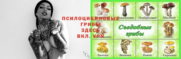 бошки Вяземский