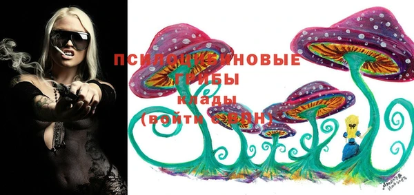 a pvp Вязники