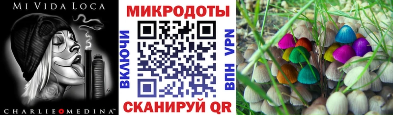 Купить где  Омутнинск  Галлюциногенные грибы Psilocybine cubensis 